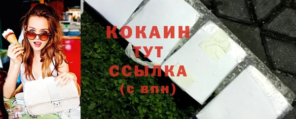 СК Алексин